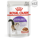 Royal Canin – Hrana umeda pisici – Ghid 2025