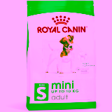 Cea mai bună hrană uscată câini în 2025: Ghid complet